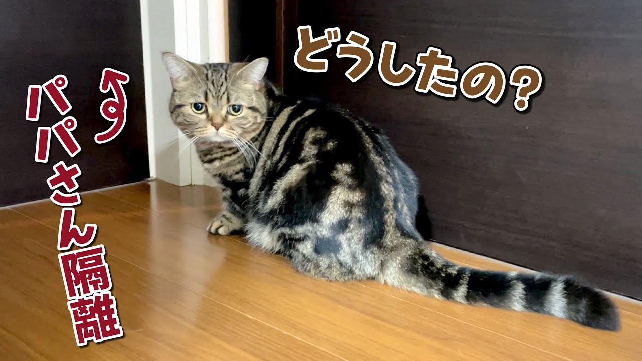 パパさんが初めてコロナに感染しました…