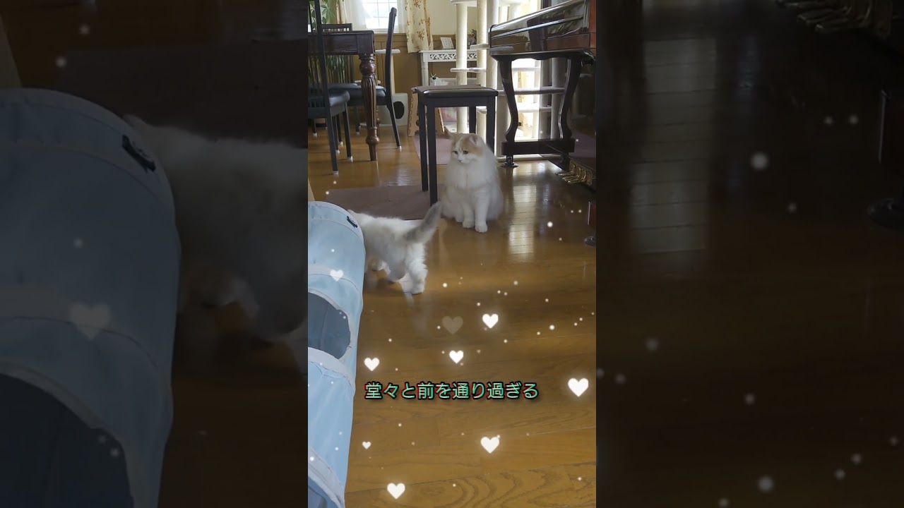怖くても平気#ラガマフィン
