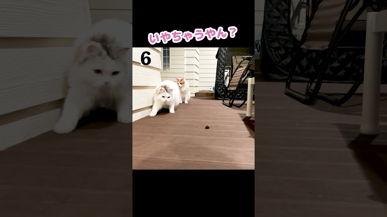 【事故発生】15秒後とんでもないことに…#Shorts