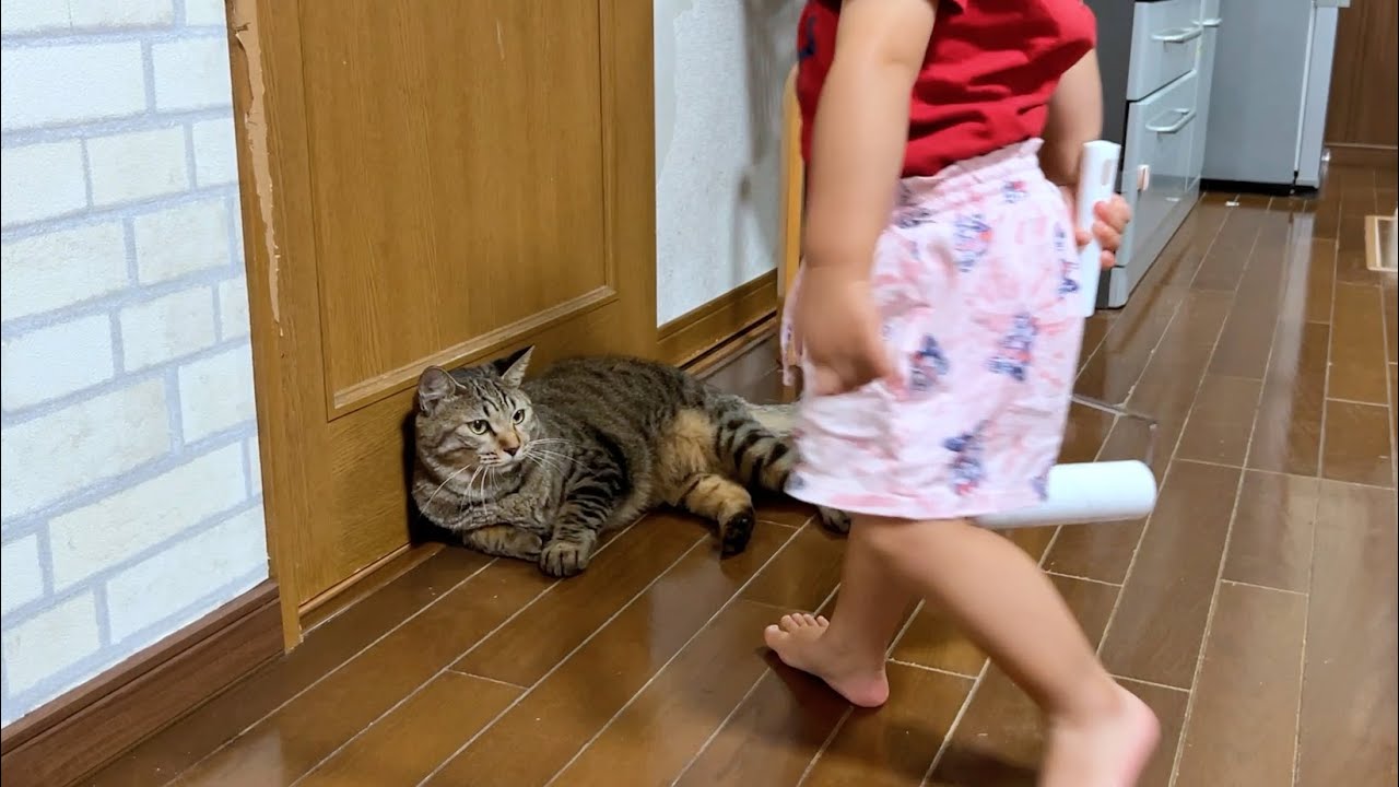 ヤバすぎ・・・子育てって難しい【猫を踏む娘】