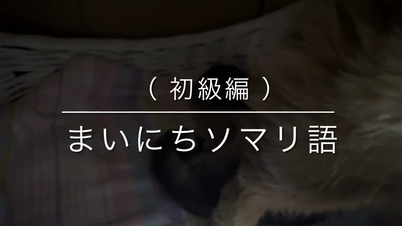 まいにちソマリ語（初級編）