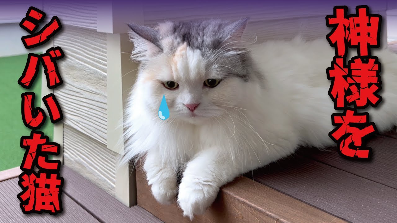 【悲報】縁起悪過ぎワロタ…ｗｗｗ