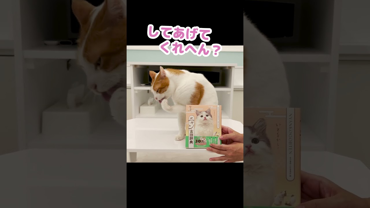 【ご報告】つくし＆師匠が載った本が発売されます #Shorts