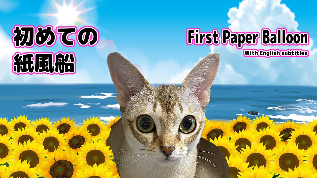 【シンガプーラ】はじめて紙風船を見た猫が取った行動がこちらです（I saw a paper balloon for the first time）