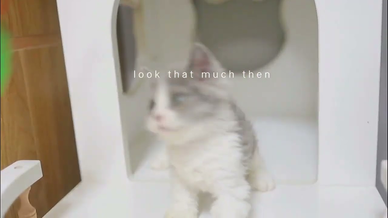 セルカークレックス 頭デガ人形みたい🧸