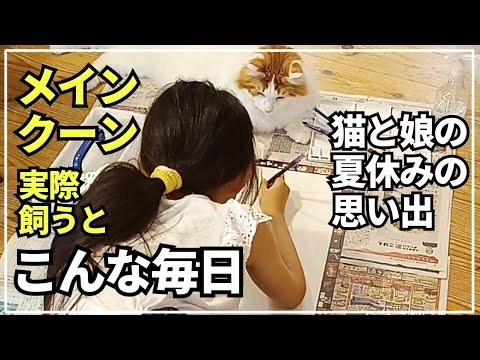 大型猫の夏休みの日常はこんな感じ！娘と猫にほっこり癒やされました【メインクーン】