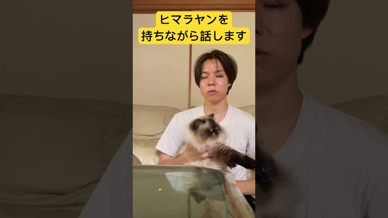 ヒマラヤンを持ってみました