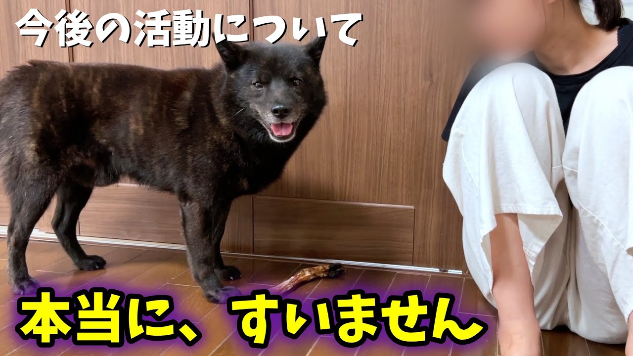 大切なお知らせと、今後について【本音をお話しします】