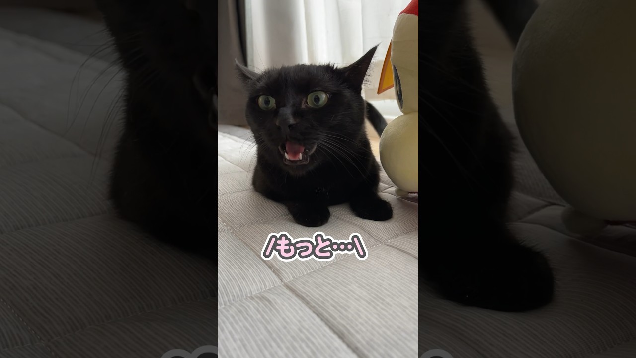 【びっくり仰天】え、それをして欲しかったの…？