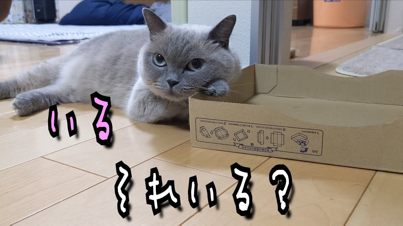 何が何でも渡さんつもりや