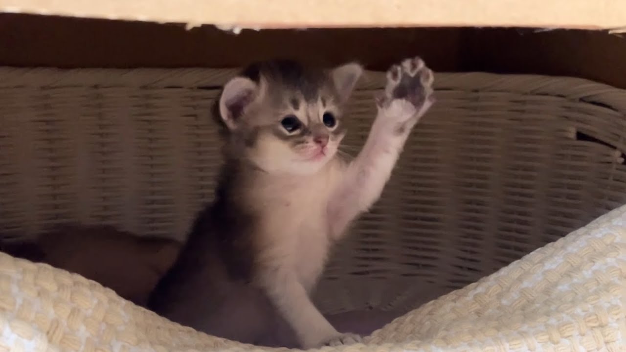 籠のお外。(後編)