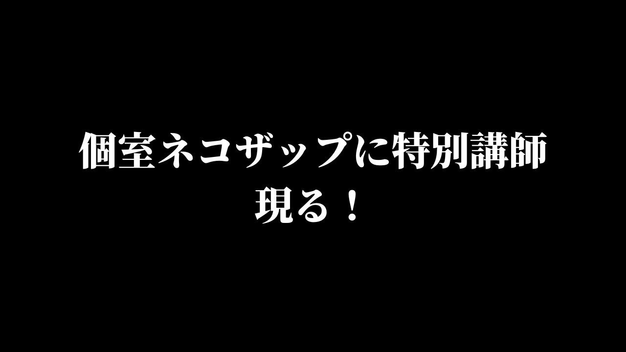 ぽちゃくんの個室ネコザップに特別トレーナー現る！ #猫 #マンチカン