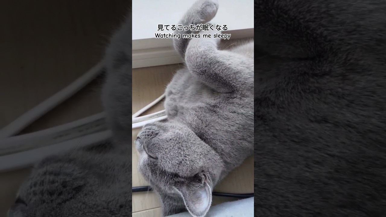 見てる方が眠くなる（Watching makes me sleepy）