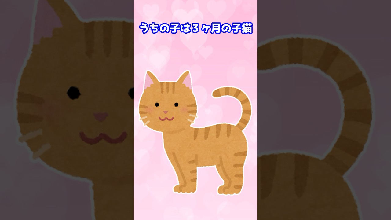 【2ch 動物スレ】賢い子猫