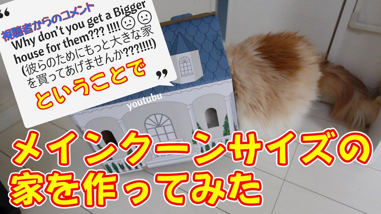 メインクーン用の段ボールハウスを作ったよ！