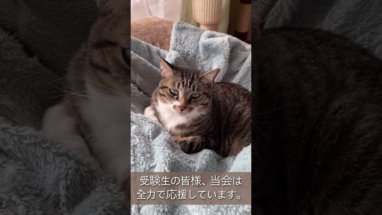 愛玩動物看護師国家試験！ついに明日に迫る！