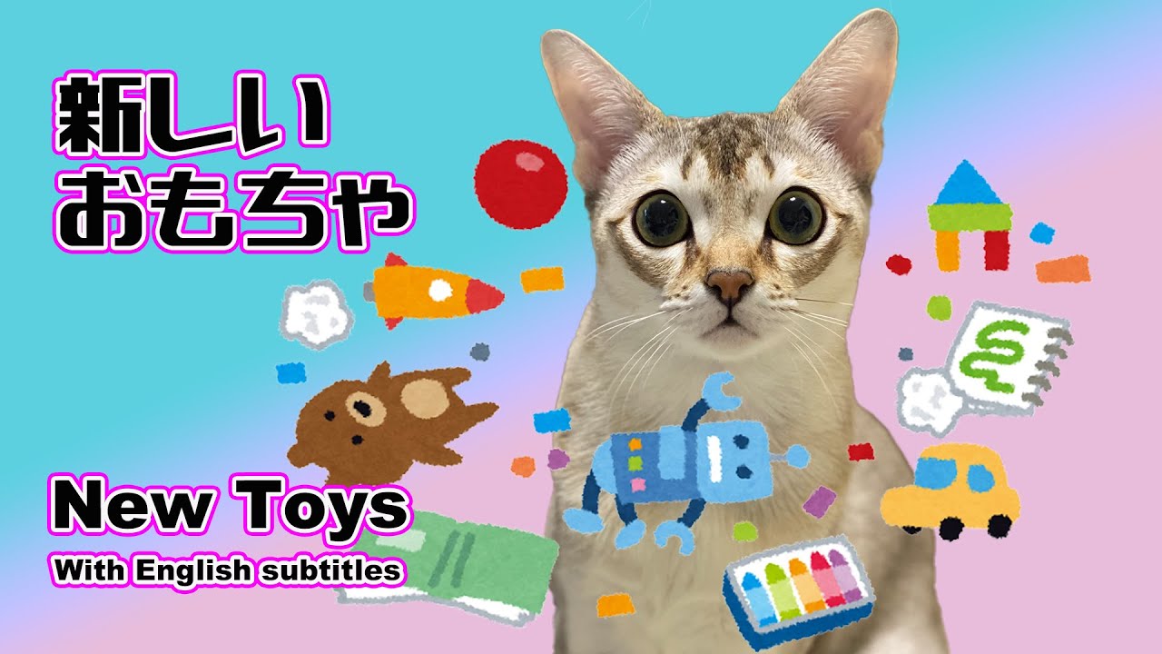 【シンガプーラ】新しいおもちゃで狩の練習している猫がこちらです！生後５ヶ月目！Practice hunting with new toys！#kitten #cat #animals
