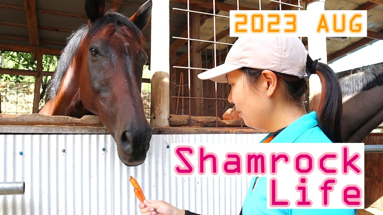 にんじんを2倍もらうマロ/8月のVlog