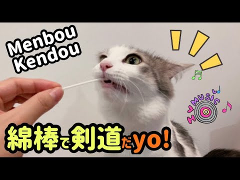 【🇲🇾森猫おはぎの遊雅な日常 in Malaysia】綿棒で剣道したら可愛すぎたYo! #可愛い猫 #猫とマレーシア生活 #ノルウェージャンフォレストキャット