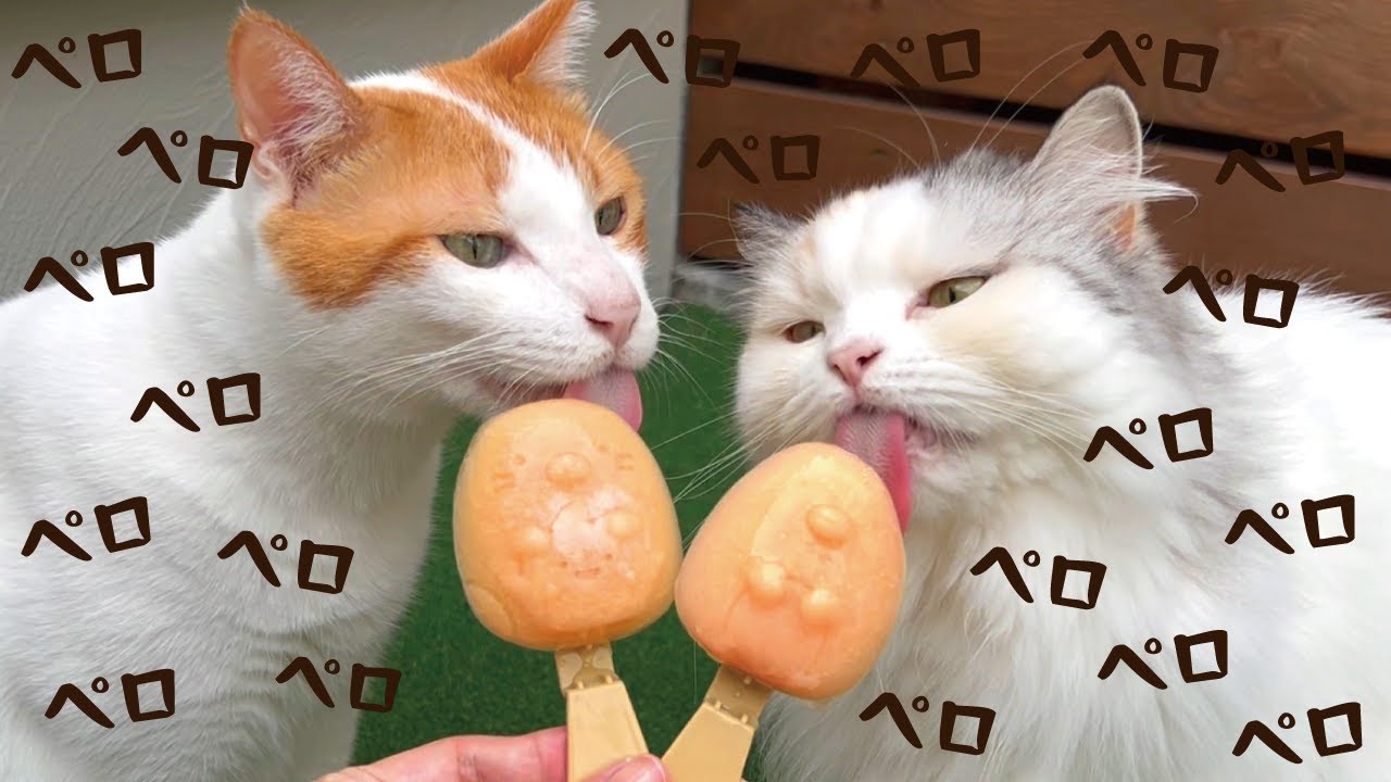 夏バテ気味の猫たちにすみっコぐらしのちゅーるアイスを作ってあげました