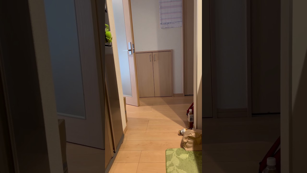 朝からプロレスごっこなシンガプーラ兄弟