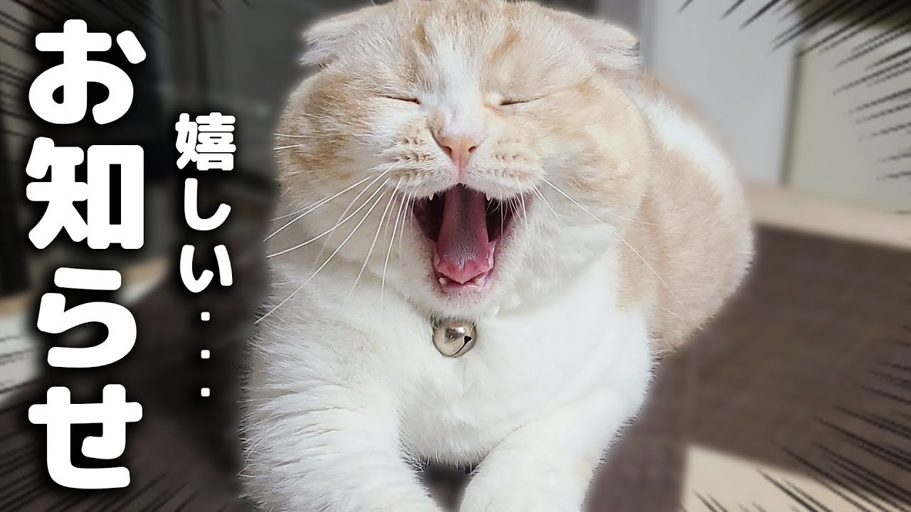 皆様に嬉しいお知らせがあります...