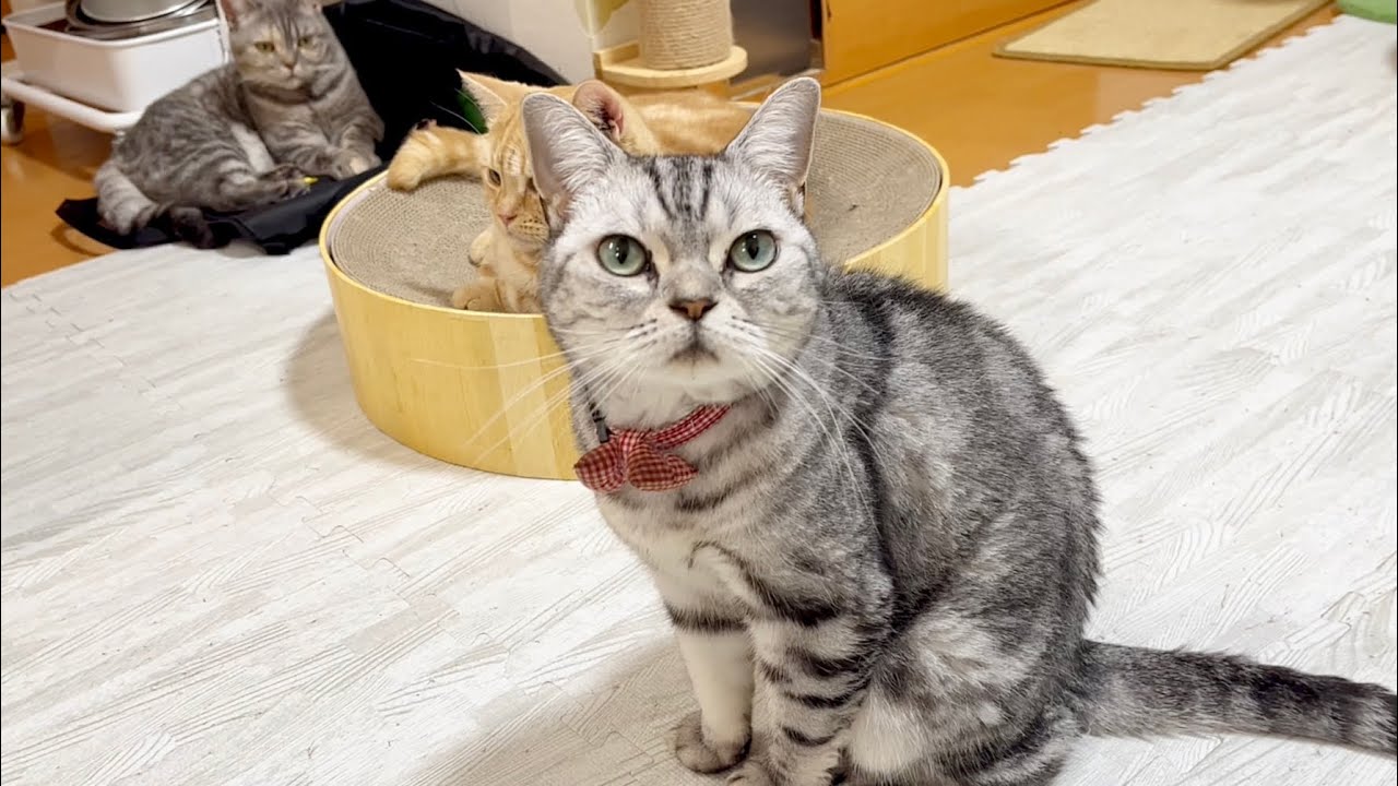あたしが今何してるかわかる？