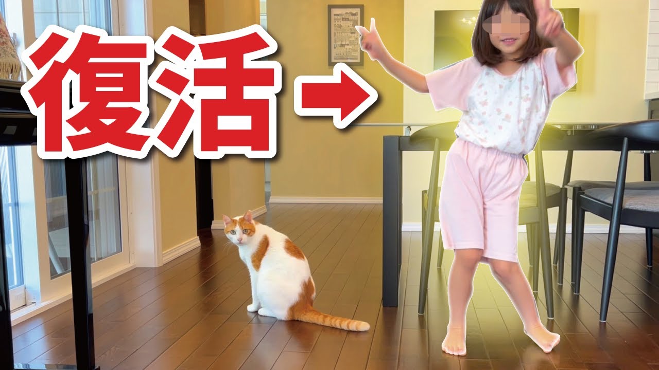 5歳の娘が高熱から復活しました！