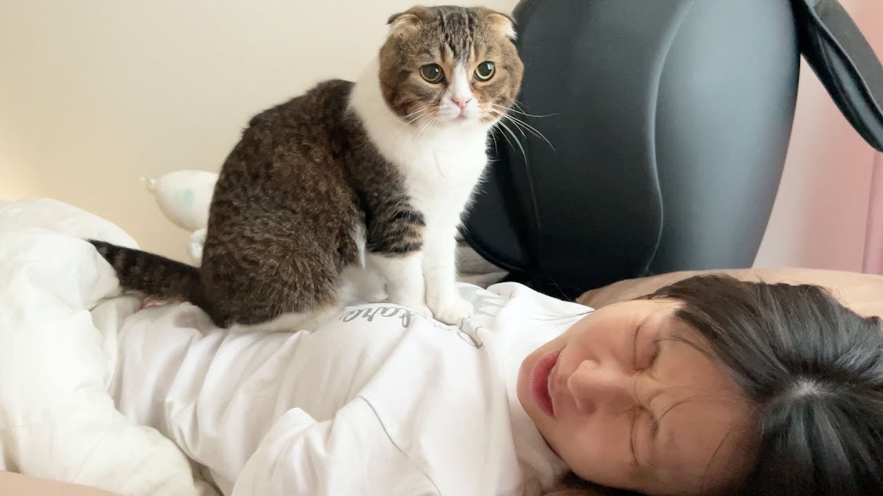 爆睡していたらパパ猫に思いきり胸を踏まれてしまいました…