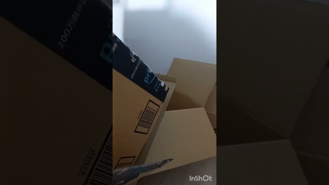 猫ちゃんの秘密基地😻/オンライン日本語教師がお届けする日本！の猫