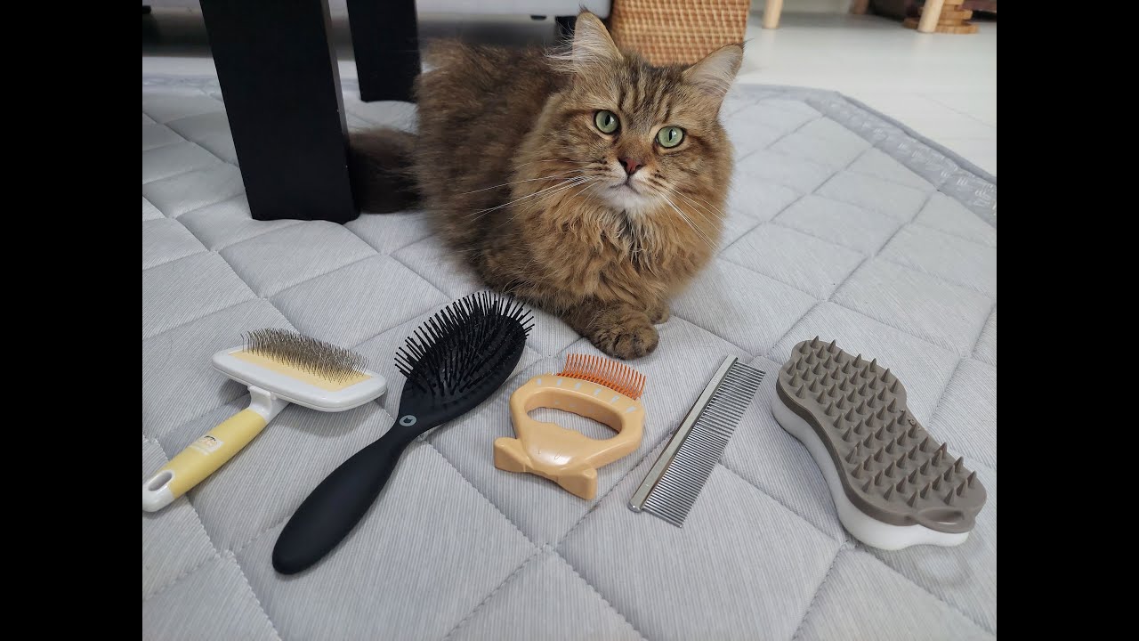 長毛猫に使用…我が家のブラシ紹介