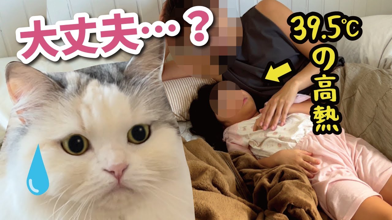 5歳の娘が謎の高熱を出してしまいました…