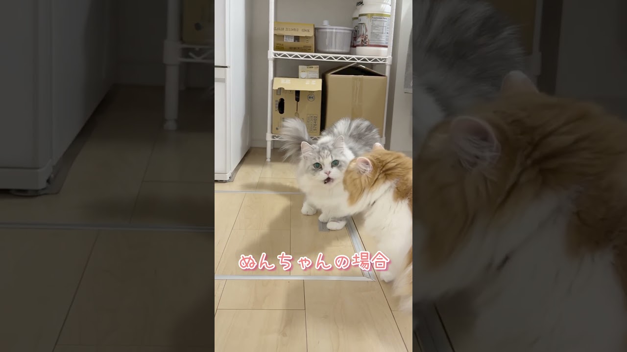 ちょっと下手くちょ♪そこもかわいい