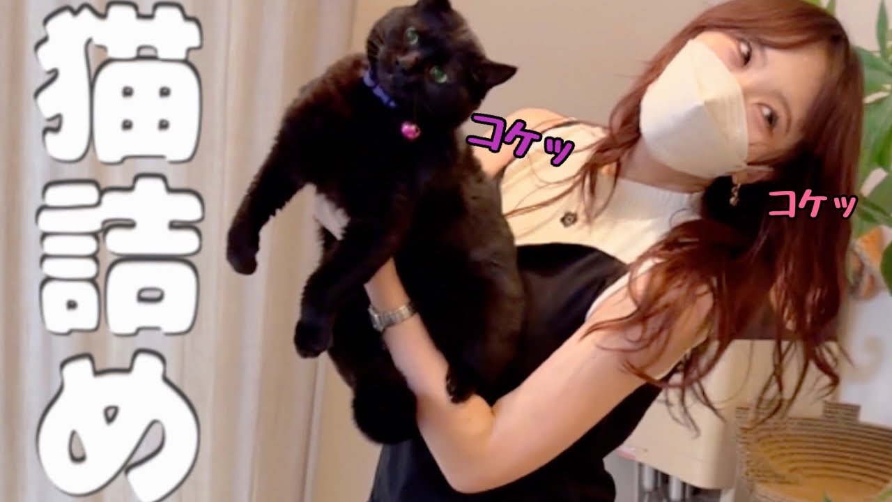 猫パンチされたり『首コケッ』されても猫6匹サクサク詰めます！