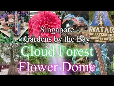 【🇸🇬Singapore旅Ep.7】Cloud Forest Avatar the experience／Flower Dome／Gardens by the Bay 2023,8 #シンガポール