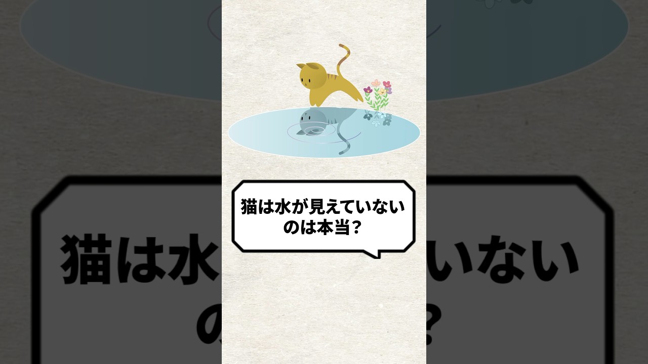 Q：猫は水が見えてないのは本当？