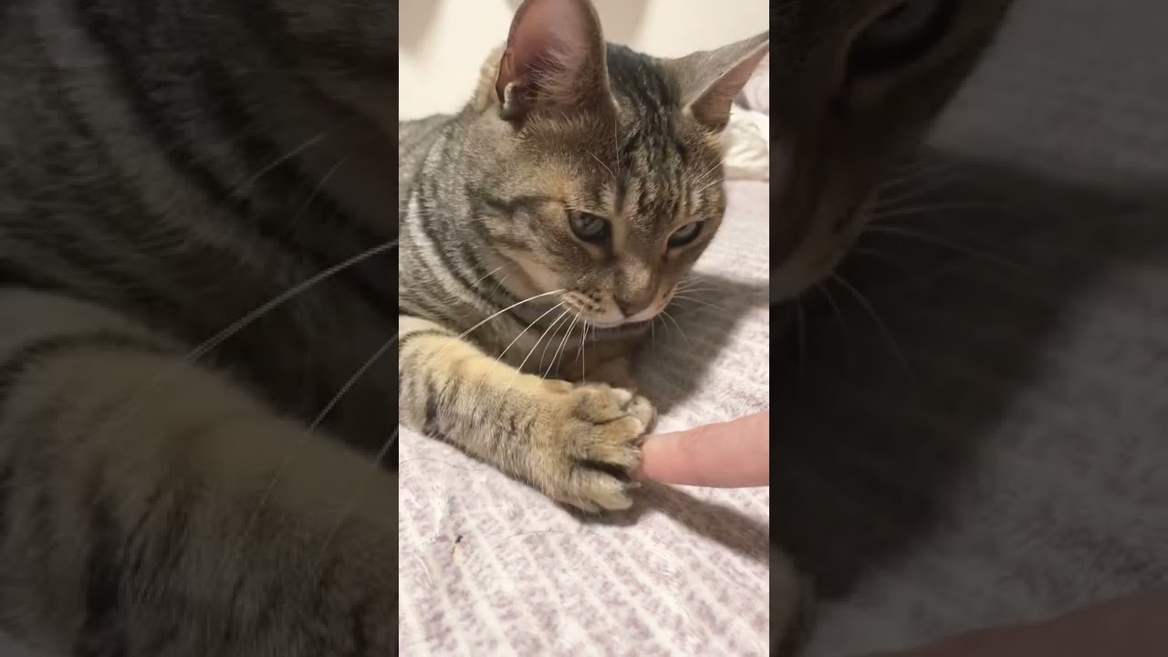 E.T.ごっこして友達になりました。