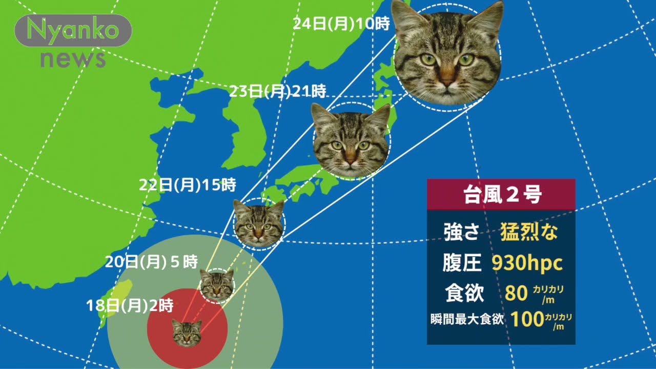 『超大型にゃんこ台風　日本に上陸』