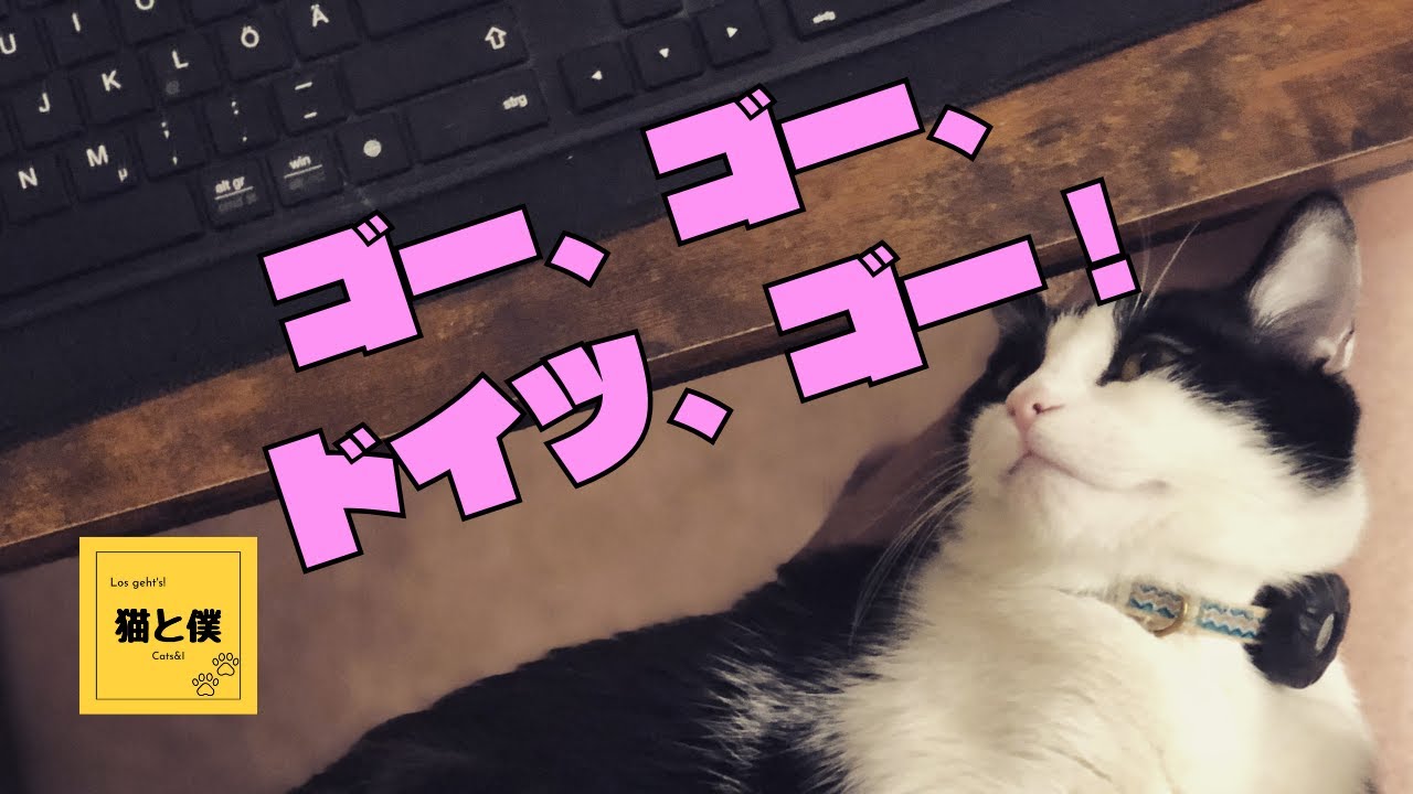アラフィフにして、語学学校へ通うの巻！（ドイツで愛猫と暮らす）
