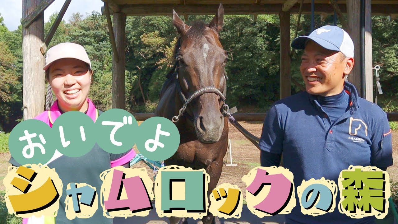 シャムロックで乗馬を楽しもう！予約方法からレッスンまでの流れを紹介