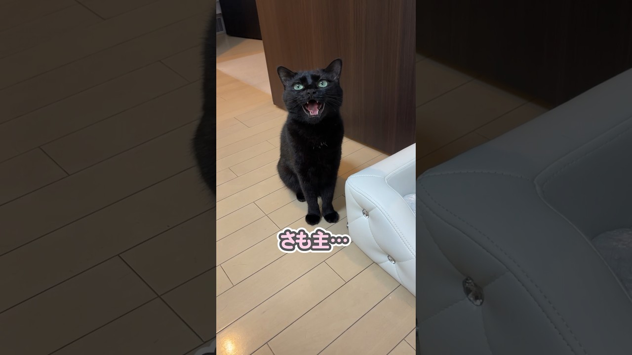 【助けて】これでは仕事になりません…