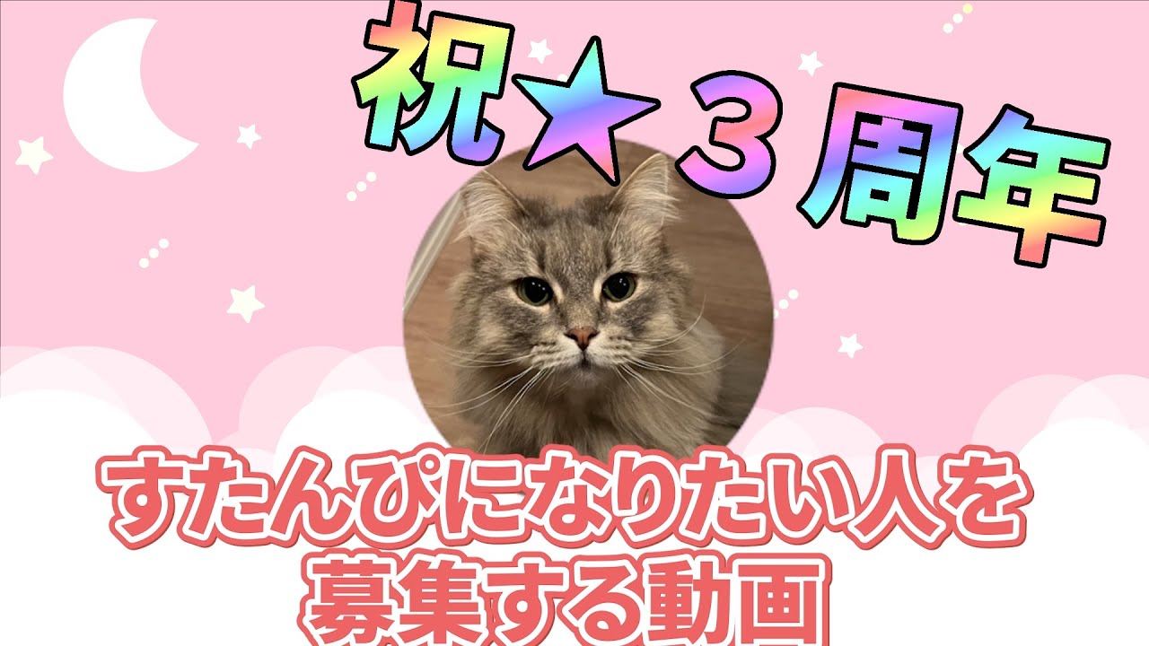 祝★チャンネル３周年！ノルウェージャンフォレストキャット