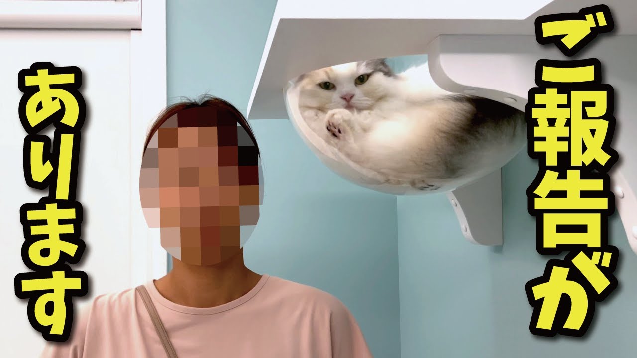 今後についてご報告です