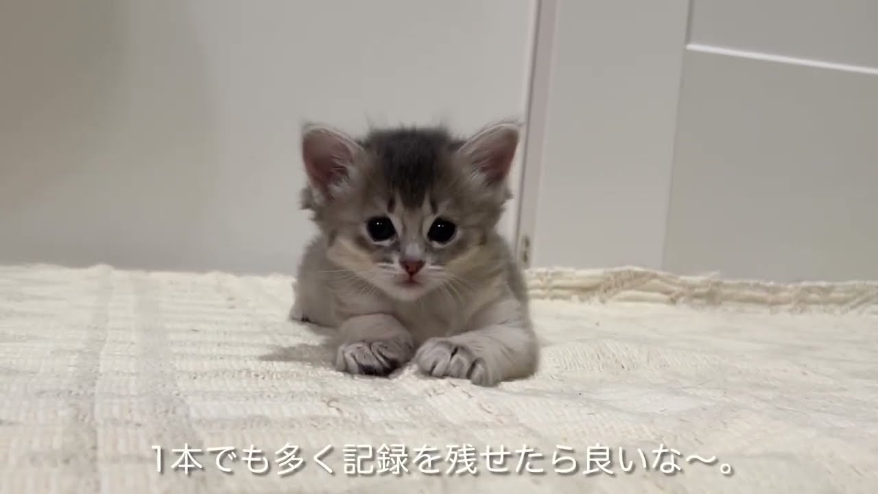 生後1ヶ月を迎えられました＾＾