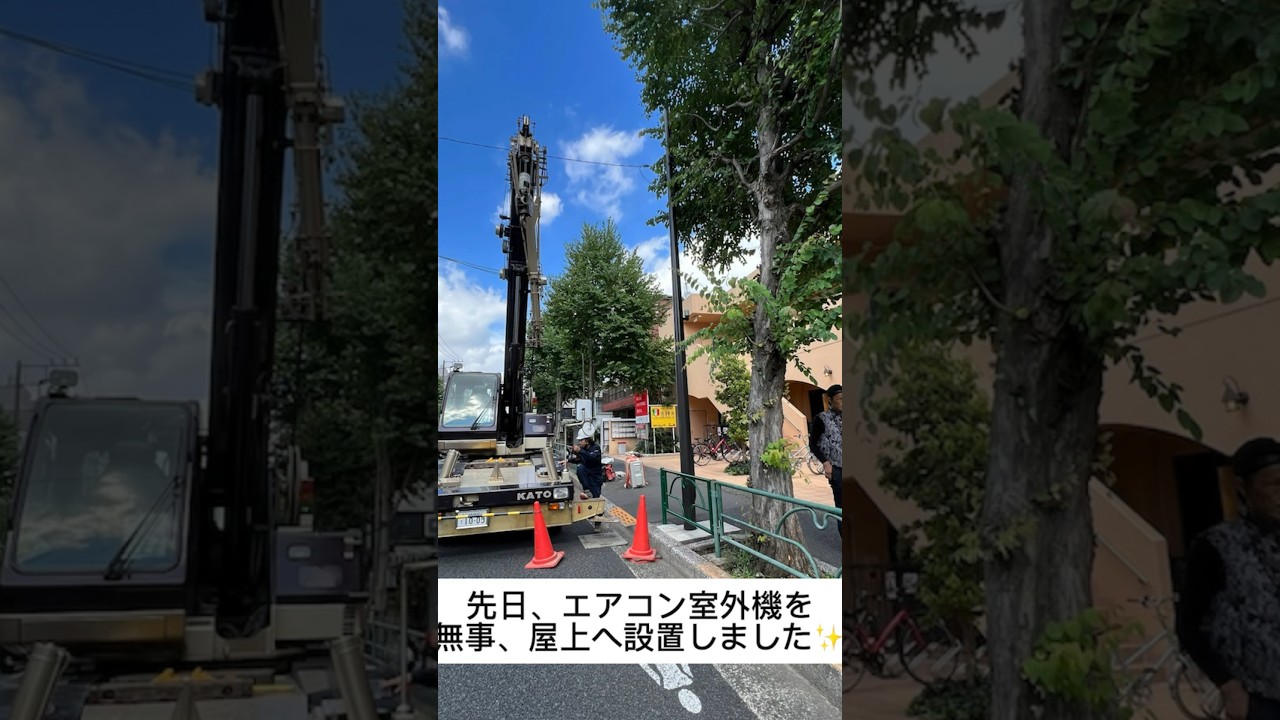 吉祥寺でサイベリアン専門ショップ&猫カフェ&猫の美容室が9月末にオープン❣️ #サイベリアン #子猫 #猫カフェ