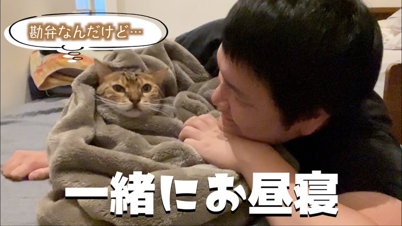 めちゃくちゃ文句言うけど結局一緒に寝てくれる猫
