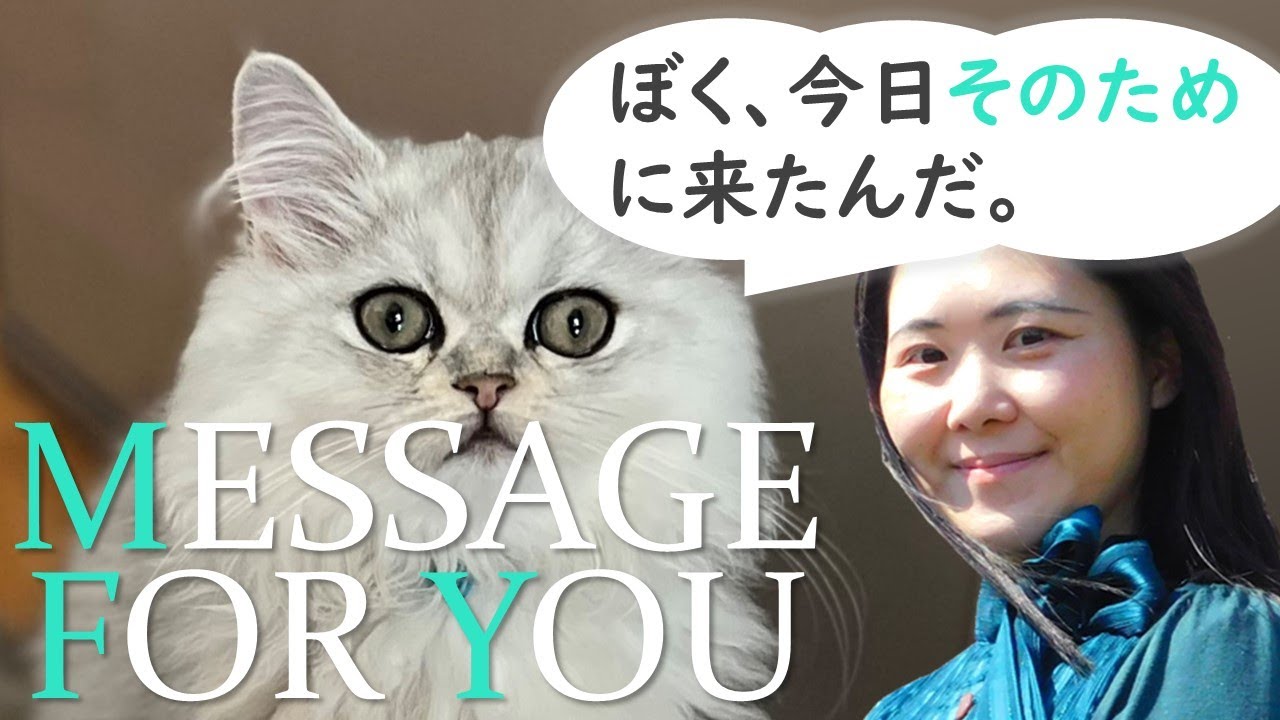 【動物と話す】ごさくLIVE第103回MESSAGE FOR YOU「ぼく、今日そのために来たんだ。」まりもくん