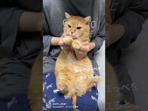 両手でほっぺを押さえると、かわぴーくなっちゃうプリン