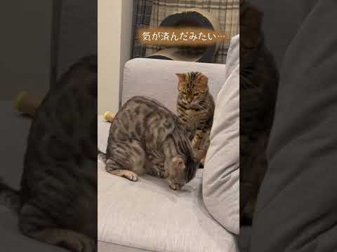 職場で一回は見るorされたことある光景のやつ