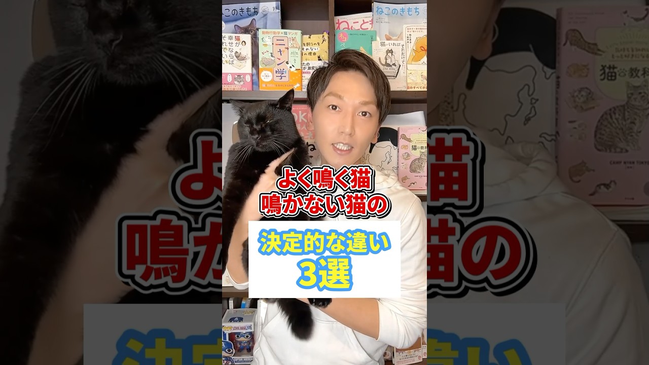 よく鳴く猫と鳴かない猫の決定的な違い３選